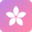 bloom-9dk.pages.dev favicon